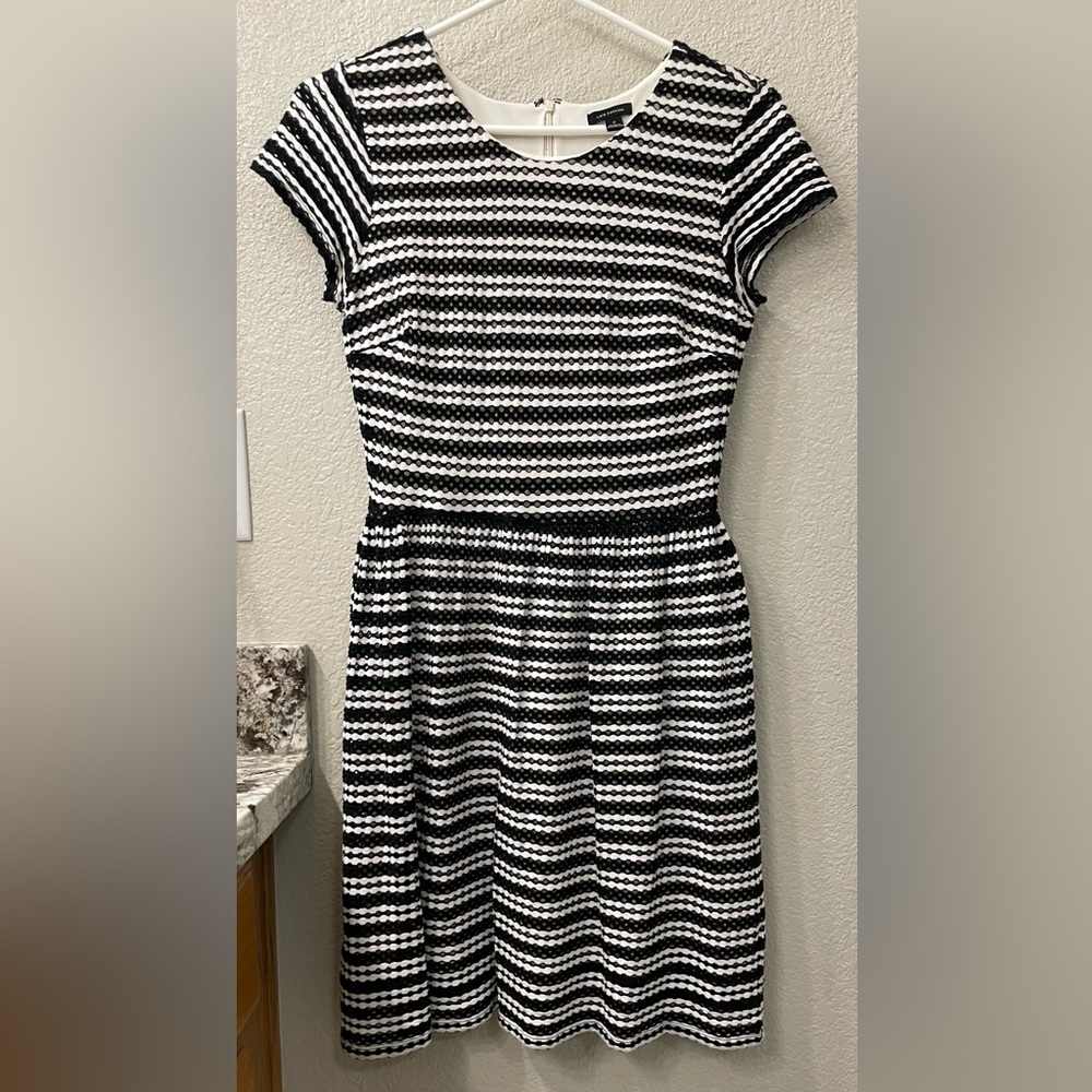 Ann Taylor | Black and Ivory Above Knee Dress | 2